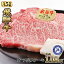 ڤդ뤵Ǽǡɹ(R)͵A5ơ 1.08kg Ķ® [No.535]   ֥ɵ 䤭 ̵ 츩 û