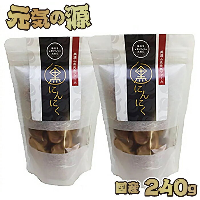 元気の源 黒にんにく 国産 240g [No.672] / ニンニク 大粒 送料無料 岐阜県