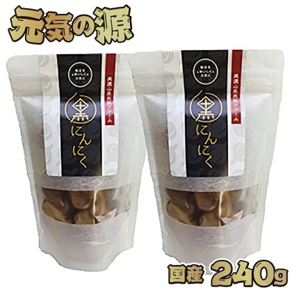 元気の源 黒にんにく 国産 240g [No.672] ／ ニンニク 大粒 送料無料 岐阜県