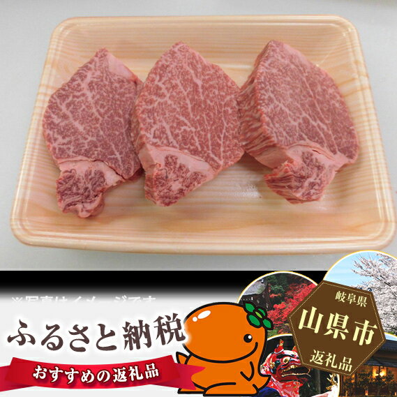 【ふるさと納税】No.106 飛騨牛ヒレステーキ用計約600g　（5等級）／冷凍 ／ 牛肉 ブランド牛 岐阜県 特産