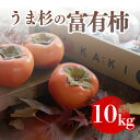 【ふるさと納税】\選べるサイズ/うま杉の富有柿 10kg※2025年11月中旬〜12月中旬頃に順次発送予定
