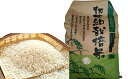 【ふるさと納税】岐阜県産ハツシモ 10kg 【米・お米】
