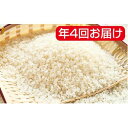 【ふるさと納税】岐阜県産ハツシモ 10kg×3袋 年4回(1...
