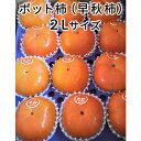 【ふるさと納税】こだわり栽培ポット柿（早秋柿） 2Lサイズ12個入り　【果物類・柿・かき】　お届け：2022年10月上旬〜10月下旬