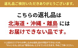 【ふるさと納税】ぎふ清流完熟マンゴー2個入り※クレジット決済のみ　【果物・フルーツ・マンゴー・完熟マンゴー】　お届け：2023年6月中旬より順次発送 画像2