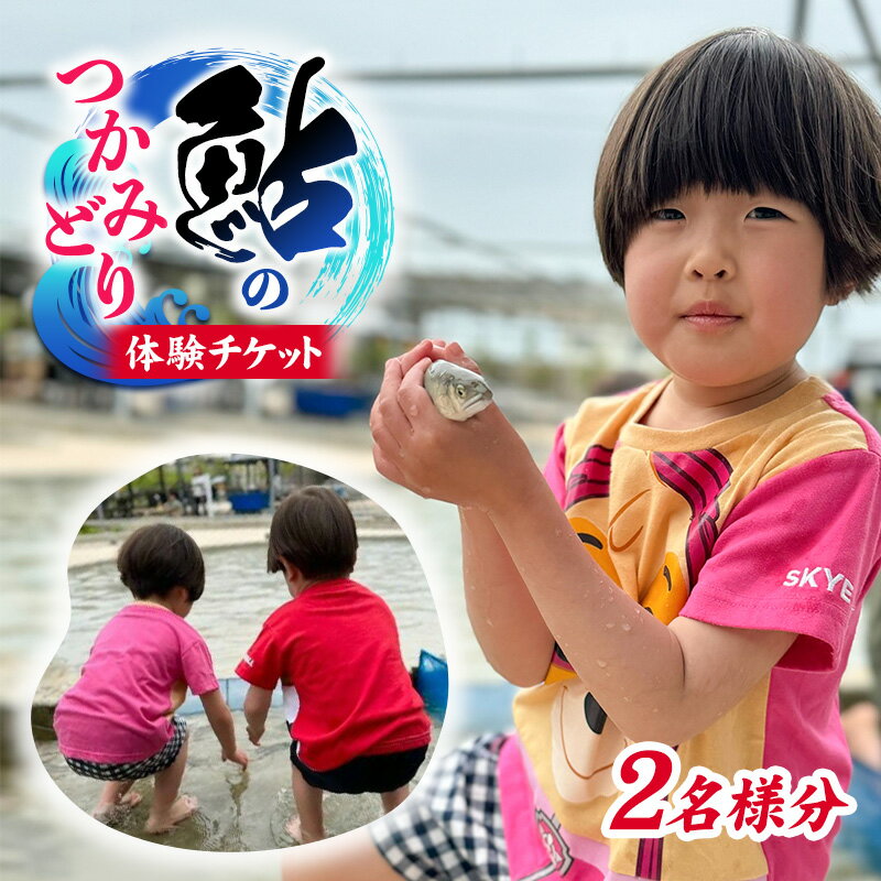【ふるさと納税】鮎のつかみ取りチケット2名分（6尾）　【体験チケット・チケット】　お届け：2024年6月上旬～8月下旬まで