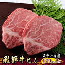 【ふるさと納税】飛騨牛ヒレ　ステーキ用170g×2枚　【肉 牛肉 ヒレ】　お届け：2週間～1か月程度でお届け予定です。