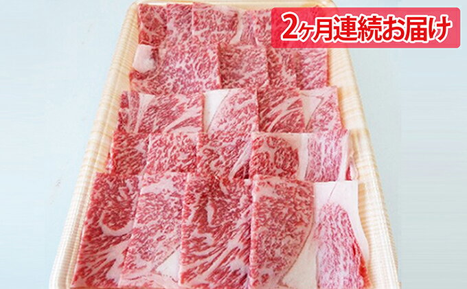 【ふるさと納税】2ヶ月頒布会　A5等級飛騨牛焼き肉用500g　ロース又は肩ロース肉　【定期便・ロース お肉 牛肉 焼肉 バーベキュー】　お届け：2週間～1か月程度でお届け予定です。