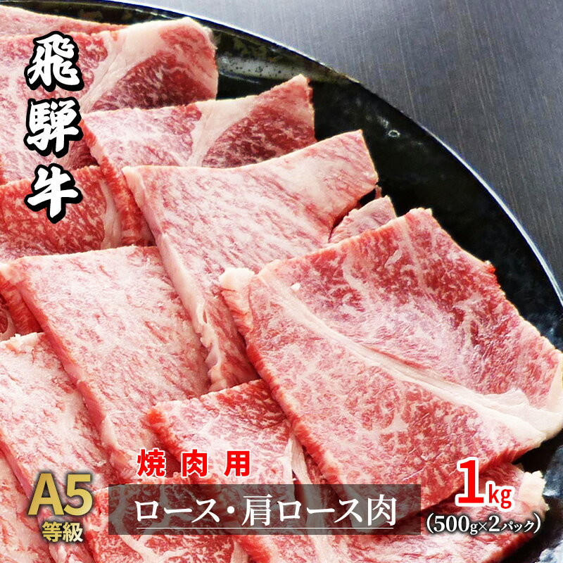 飛騨牛 【ふるさと納税】A5等級飛騨牛焼き肉用1kg　ロース又は肩ロース肉　【ロース お肉 牛肉 焼肉 バーベキュー】　お届け：2週間～1か月程度でお届け予定です。