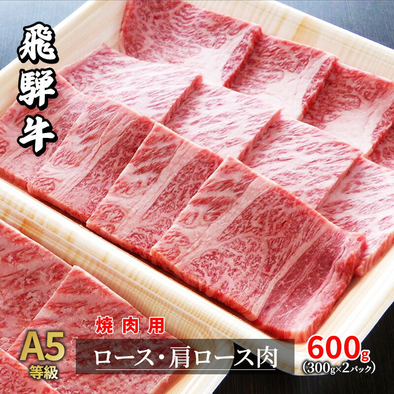 【ふるさと納税】A5等級飛騨牛焼き肉用600g　ロース又は肩ロース肉　【ロース お肉 牛肉 焼肉 バーベキ..