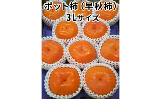 【ふるさと納税】こだわり栽培ポット柿(早秋柿)3Lサイズ9個入り|果物類 かき ※離島への配送不可 ※2025年10月中旬~11月上旬頃に順次発送予定 【ふるさと納税】こだわり栽培ポット柿(早秋柿)3Lサイズ9個入り|果物類 かき ※離島への配送不可 ※2025年10月中旬~11月上旬頃に順次発送予定