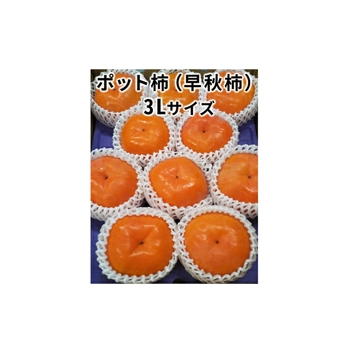 【ふるさと納税】こだわり栽培ポット柿（早秋柿） 3Lサイズ9個入り　【果物類 柿 かき】　お届け：202...