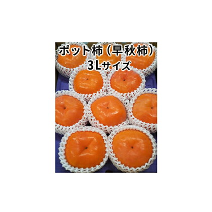 こだわり栽培ポット柿（早秋柿） 3Lサイズ9個入り　【果物類 柿 かき】　お届け：2024年10月上旬～10月下旬