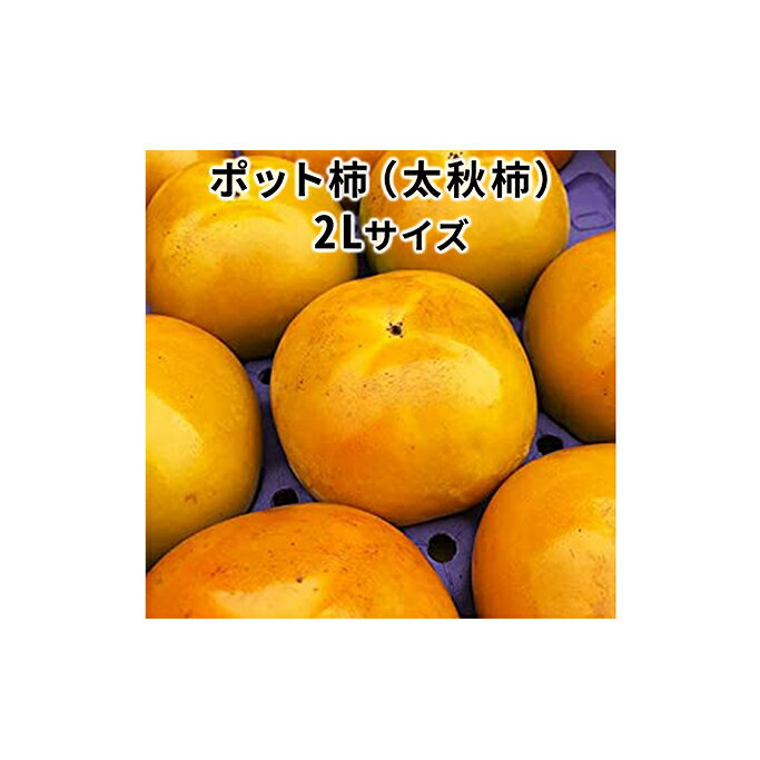 23位! 口コミ数「0件」評価「0」こだわり栽培ポット柿（太秋柿） 2Lサイズ12個入り　【果物類 柿 かき】　お届け：2024年10月中旬～11月上旬