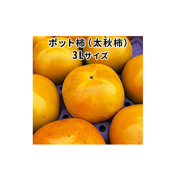 こだわり栽培ポット柿（太秋柿） 3Lサイズ9個入り　　お届け：2024年10月中旬～11月上旬