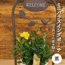 【ふるさと納税】ミニバラスイングポーチ(茶色)2~3色のバラの寄せ植え 植物 ※2026年4月下旬~5月下旬頃に順次発送予定 ※離島への配送不可