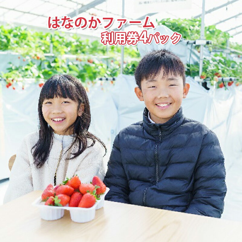 【ふるさと納税】観光農園はなのかファーム利用券10枚綴り　【 チケット 体験チケット いちご狩り カ...