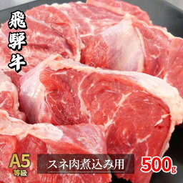 【ふるさと納税】牛肉 飛騨牛 スネ肉 500g 黒毛和牛 A5 美味しい お肉 牛 肉 和牛 カレー シチュー 煮込み 【岐阜県瑞穂市】　【 瑞穂市 】