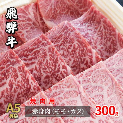 牛肉 飛騨牛 焼き肉 セット 赤身 モモ 又は カタ 300g 黒毛和牛 A5 美味しい お肉 牛 肉 和牛 焼肉 BBQ バーベキュー 【岐阜県瑞穂市】　【 瑞穂市 】