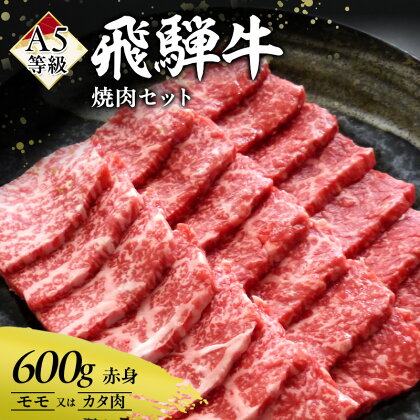 牛肉 飛騨牛 焼き肉 セット 赤身 モモ 又は カタ 600g 黒毛和牛 A5 美味しい お肉 牛 肉 和牛 焼肉 BBQ バーベキュー 【岐阜県瑞穂市】　【 瑞穂市 】