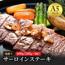 【ふるさと納税】飛騨牛 牛肉 肉 ステーキ サーロイン 600g 200g×3枚 A5 和牛 【岐阜県瑞穂市】