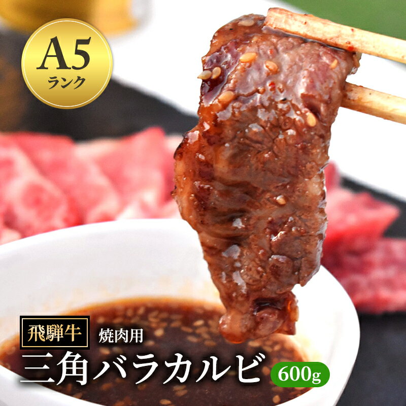 【ふるさと納税】飛騨牛 三角バラカルビ 焼肉 600g A5 希少部位 和牛 牛肉 お肉 カルビ 焼肉用 【岐阜県瑞穂市】