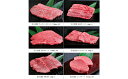 【ふるさと納税】飛騨牛いろいろ定期便 毎月お届け全6回 サーロイン お肉 牛肉 ステーキ 焼肉 バーベキュー お届け:2週間〜1か月程度でお届け予定です。