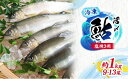 【ふるさと納税】塩焼用 活〆冷凍あゆ 約1kg(9尾~13尾) 魚貝類 鮎 アユ お届け:2025年7月上旬~9月中旬頃に順次発送予定