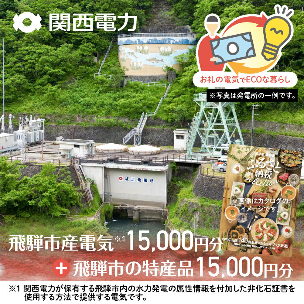 ふるさとECOプラン from 飛騨市 水と森ゆたかな岐阜県飛騨市産のCO2フリーの電気と飛騨市の特産品カタログ 関西電力