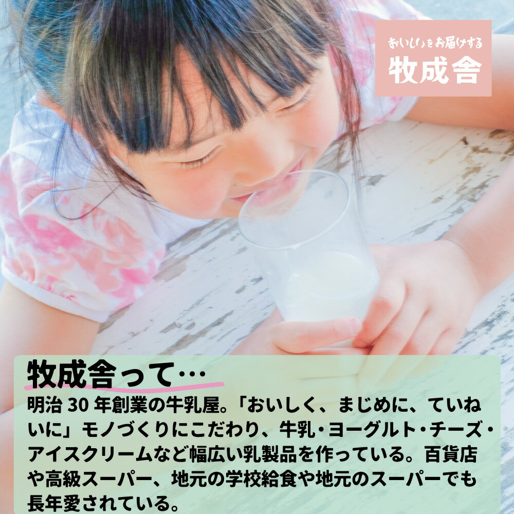 【ふるさと納税】6回定期便 飛騨産ミルクと乳酸菌だけのプレーンヨーグルト20個 砂糖不使用 牧成舎 乳製品 定期便 お楽しみ 6ヵ月 無糖