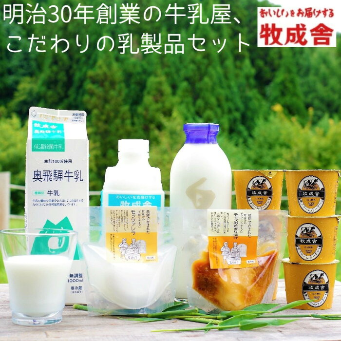 【ふるさと納税】＜牧成舎＞牛乳 ヨーグルト チーズ よりどり6種 セット 飛騨産生乳で作ったこだわりの乳製品セット ヨーグルト ギフト まとめ買い 牧成舎 [B0096]10000円 1万円