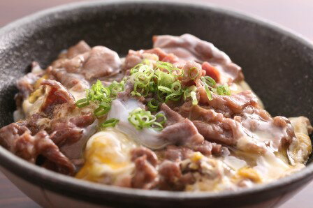 【ふるさと納税】飛騨牛 切り落とし 飛騨市推奨特産品飛騨牛　ちょっとリッチな切落し500g 訳あり 訳アリ わけあり ワケアリ コロナ 事業者応援 牛肉 和牛 肉 お歳暮[Q1640]15000円