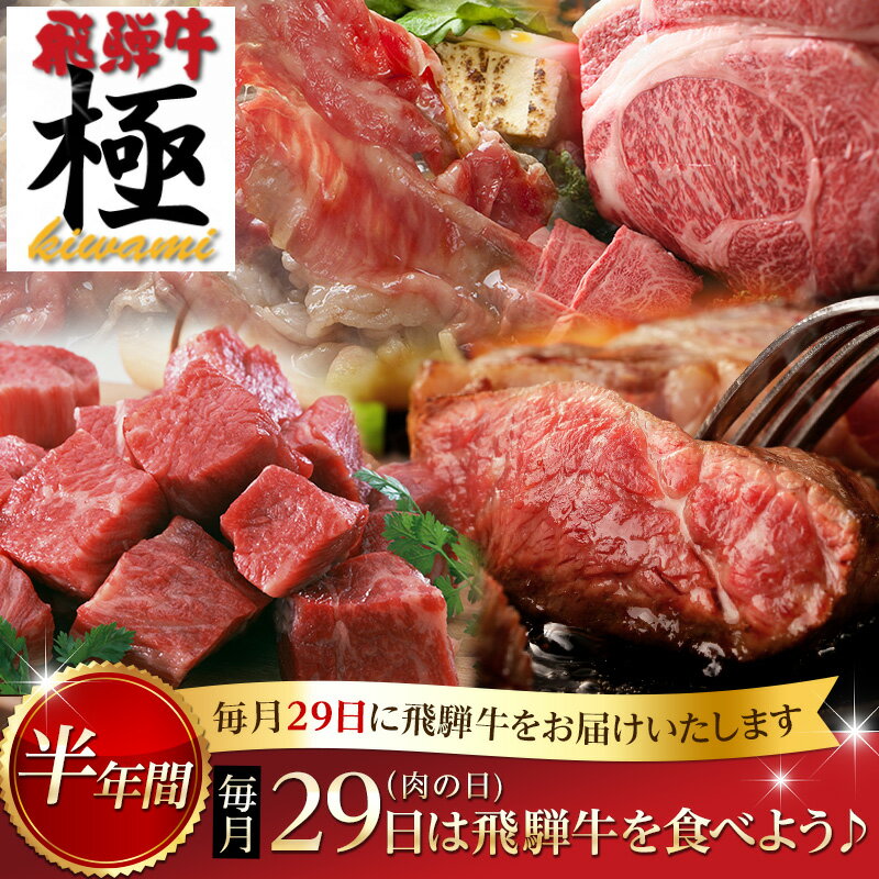 【ふるさと納税】肉 定期便 飛騨牛“極”　毎月29日（肉の日）　飛騨牛を食べよう！お肉の定期便半年バージョン　毎月　お楽しみ [L0008]260000円･･･