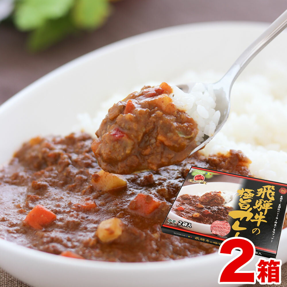 飛騨牛の極旨カレー 飛騨牛カレー 2食入り×2箱 牛肉 和牛 肉 熨斗掛け [B0056]