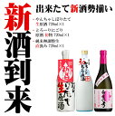 【ふるさと納税】白真弓 新酒到来 720ml 3種類 3本セット 期間限定 蒲酒造場 生原酒 純米 無調整生[Q531]15000円