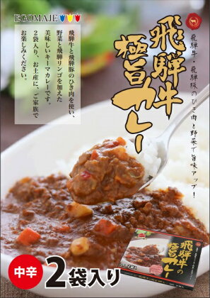 飛騨牛の極旨カレー 2食入り×6箱 肉 熨斗掛け[D0059]