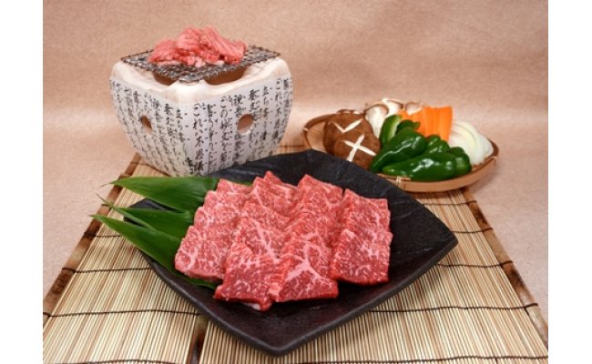 【ふるさと納税】飛騨牛　もも一口ステーキ 牛肉 和牛 肉 熨斗掛け［E0025］47000円