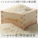 【ふるさと納税】いのちの壱 10kg×12ヶ月 特別栽培米 