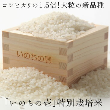 【ふるさと納税】《事前予約》令和3年産 いのちの壱 10kg×12ヶ月 特別栽培米 玄米対応可能 定期便[Q644]