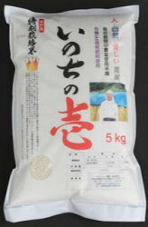 【ふるさと納税】新米 令和3年産 いのちの壱5kg×6ヶ月 定期便 特別栽培米 玄米対応可能[Q640]100000円 10万円 画像1