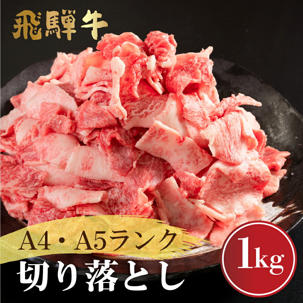 【ふるさと納税】厳選飛騨牛 切り落とし 500g×2 計1kg A4・A5ランク 部位おまかせ a4 a5 牛肉 肉 和牛 国産 小分け 熨斗 訳あり 訳アリ わけあり ワケアリ 不揃い 飛騨市産 日付指定可 [d0078sp]20000円 2万円･･･