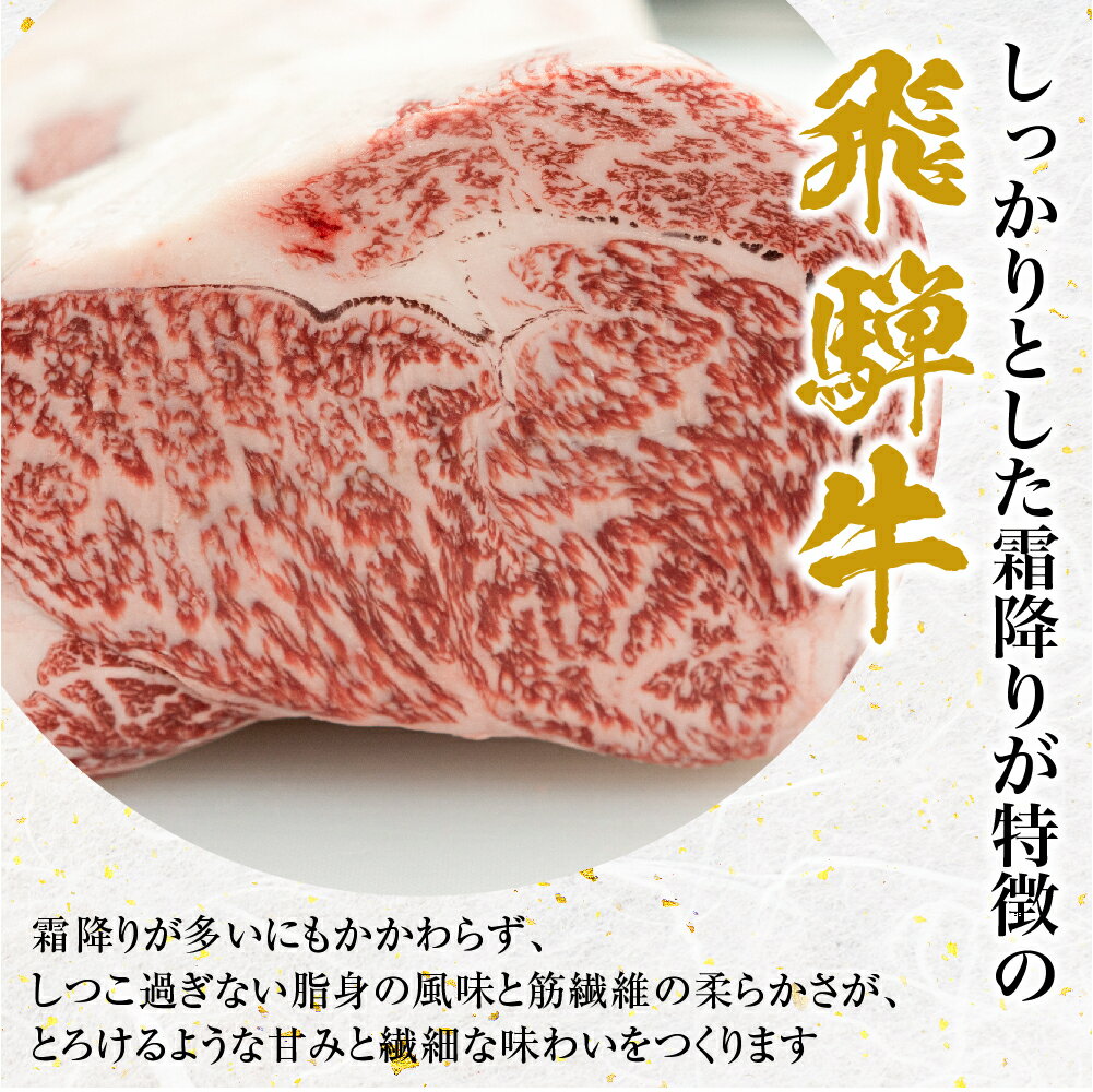 【ふるさと納税】飛騨市産 5等級飛騨牛 盛り合わせパック ごちゃまぜ ミックス 300g 訳あり 訳アリ 不揃い 部位いろいろ わけあり ワケアリ [Q352]17000円