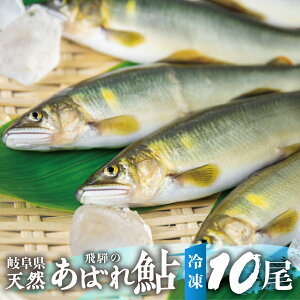 【ふるさと納税】2023年産 飛騨のあばれ鮎 天然鮎 10尾 天然 急速冷凍 アユ 鮎 岐阜県 室田名人 宮川下流[Q2177] 25000円