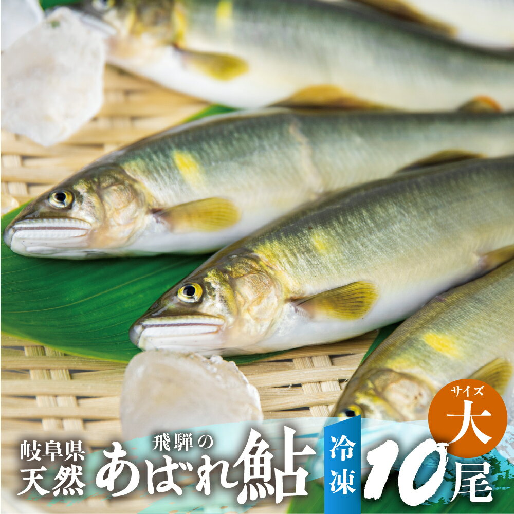 【ふるさと納税】《先行予約》2024年産 飛騨のあばれ鮎 天然鮎 大サイズ 10尾 天然 アユ 急速冷凍 鮎 岐阜県 室田名人 宮川下流 ミシュラン料亭御用達 [Q2180] 36000円