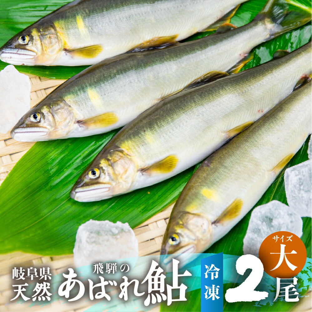 【ふるさと納税】《先行予約》2024年産 飛騨 天然鮎 大サイズ 2尾 天然 アユ 鮎 岐阜県　室田名人　宮川下流 飛騨のあばれ鮎 急速冷凍[Q2178re] 10000円