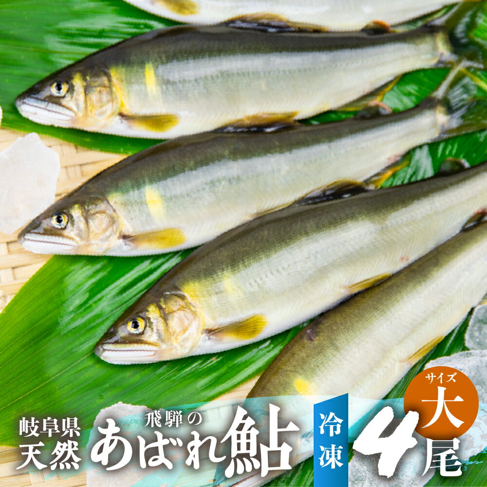 【ふるさと納税】《先行予約》2024年産 飛騨 天然鮎 大サイズ 4尾 天然 アユ 鮎 岐阜県 飛騨のあばれ鮎 急速冷凍[Q2179] 20000円