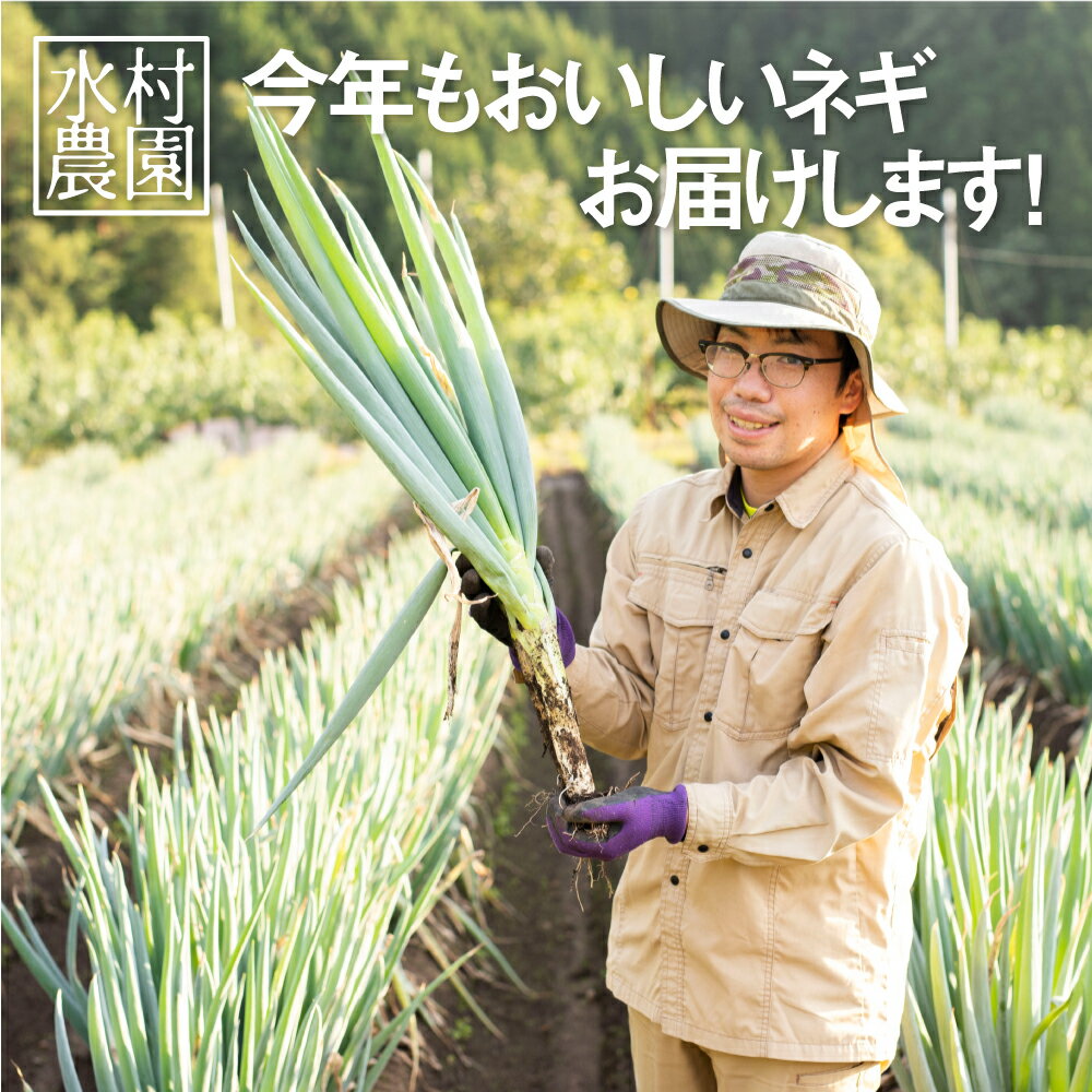 【ふるさと納税】《先行予約》《訳あり》飛騨の根深ねぎ 5kg 薬味からお鍋までおすすめ！サイズ・太さ様々 訳アリ わけあり ワケアリ 不揃い 野菜 産地直送 白ねぎ 白ネギ 鍋 [B0144]