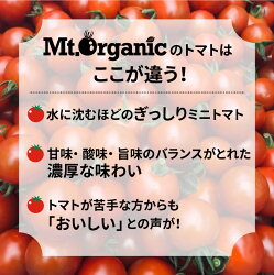 【ふるさと納税】オーガニック ミニトマト 1kg 農家直送 有機JAS認証 有機 プチトマト 令和6年産 2024年発送 先行予約受付スタート[Q731]5000円 5千円･･･ 画像2