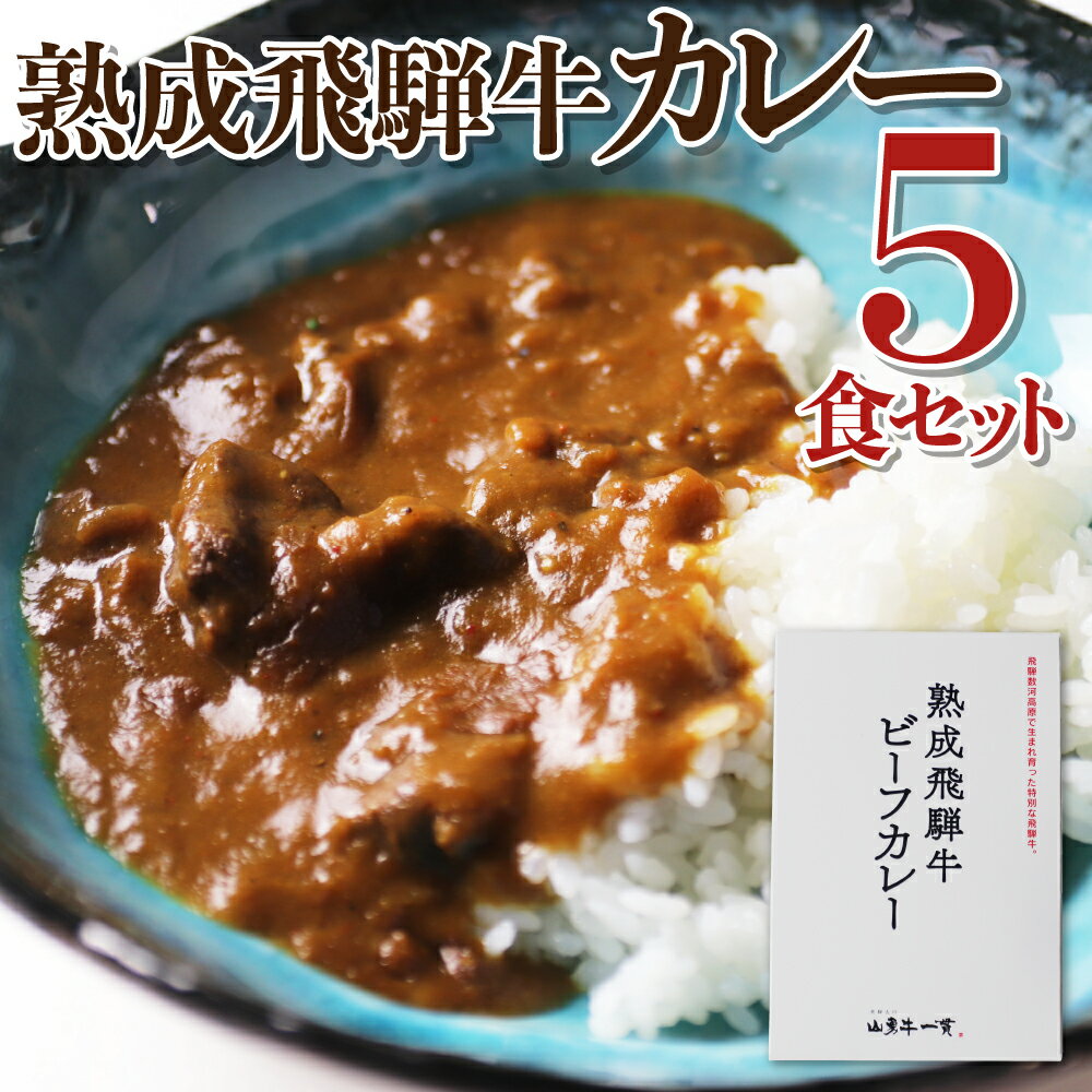 【ふるさと納税】熟成飛騨牛カレー レトルト 詰め合わせ 5食