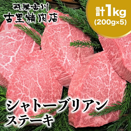 飛騨市推奨特産品 飛騨牛 5等級 ヒレ肉 シャトーブリアン ステーキ 200g × 5枚 合計1kg [Q819]